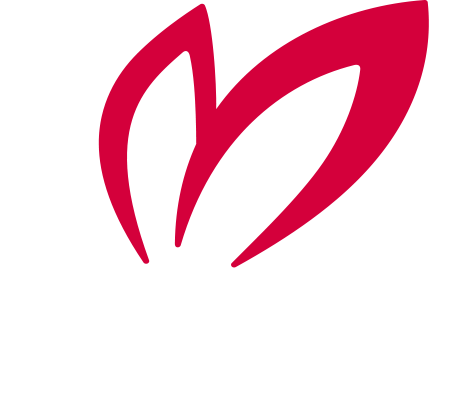 Master Bunny Edition マスターバニーエディション オフィシャルサイト Master Bunny Edition マスターバニーエディション オフィシャルサイト